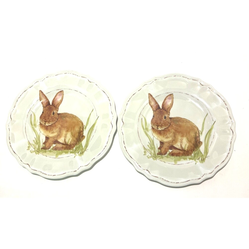 Well Dressed Home Spring Bunny Rabbit MELAMINE Round Plates Set 2